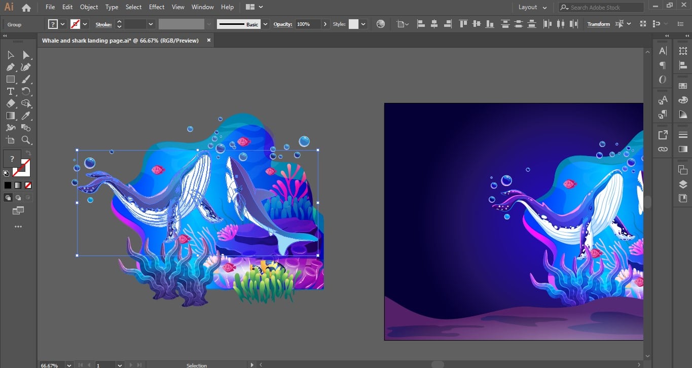adobe illustrator